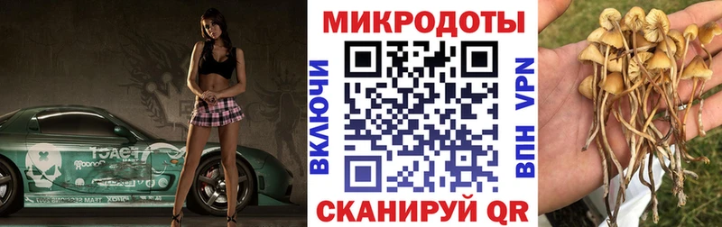 гидра ТОР  Струнино  Галлюциногенные грибы Cubensis 